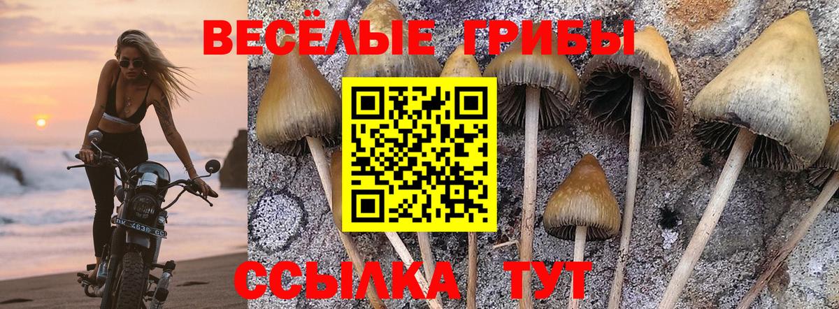Галлюциногенные грибы мухоморы  Псилоцибиновые грибы мухоморы  Псков  Вход с VPN 